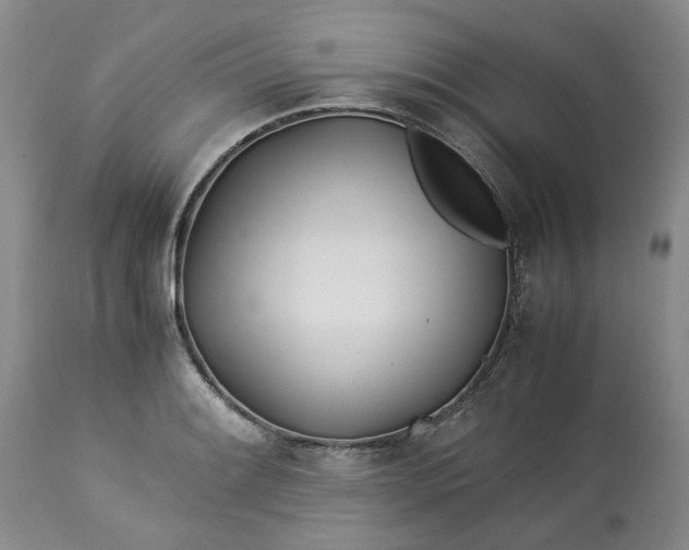 X0000113561084200910021549