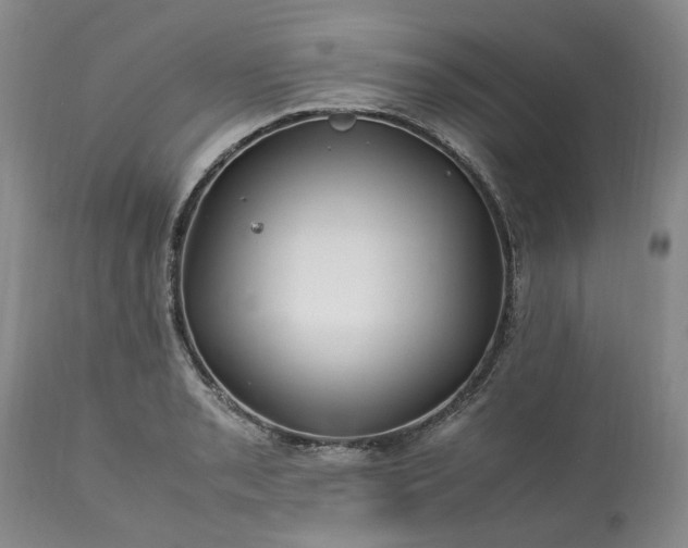 X0000113561085200910021549