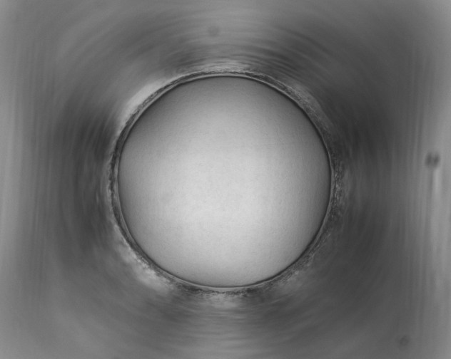 X0000113561086200910021549