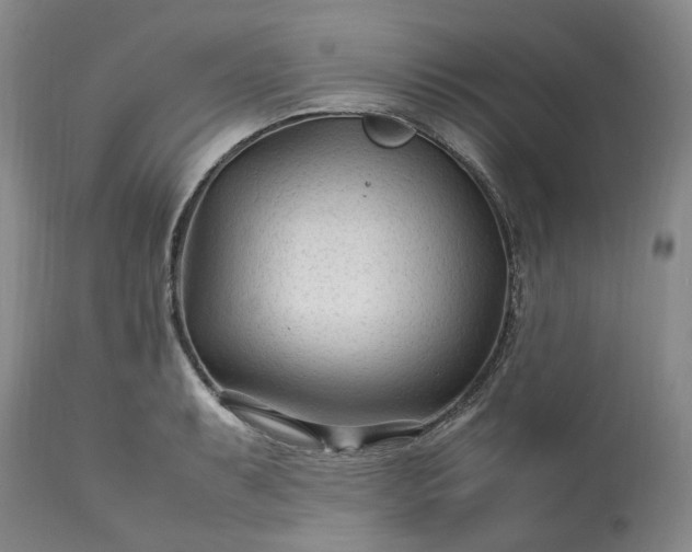 X0000113561087200910021549