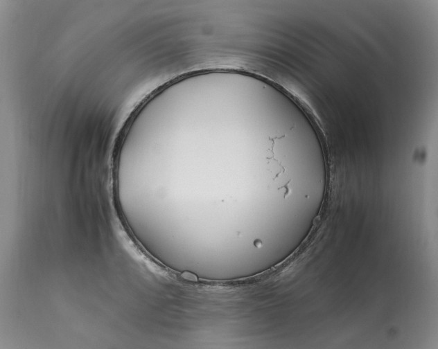 X0000113561088200910021549