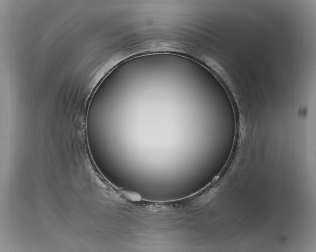 X0000113561089200910021549