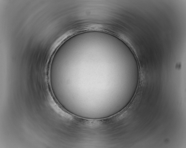 X0000113561090200910021549