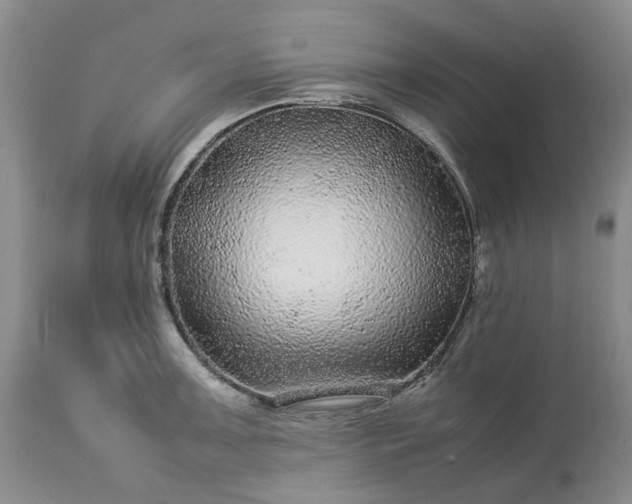 X0000113561091200910021549