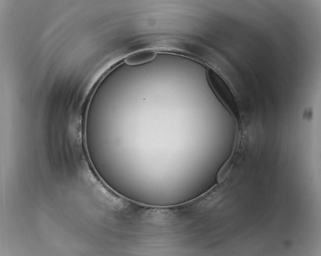 X0000113561092200910021549