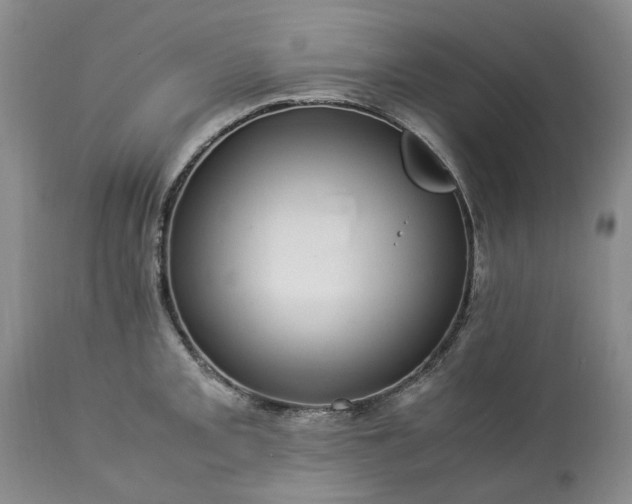 X0000113561093200910021549