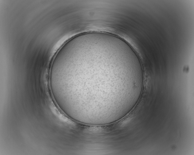 X0000113561094200910021549
