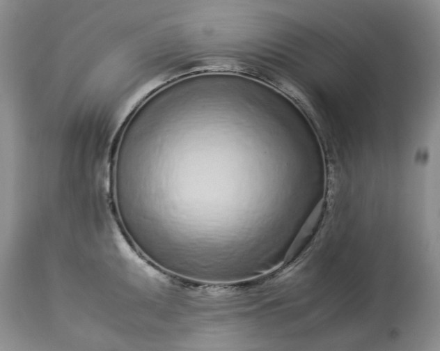 X0000113561095200910021549