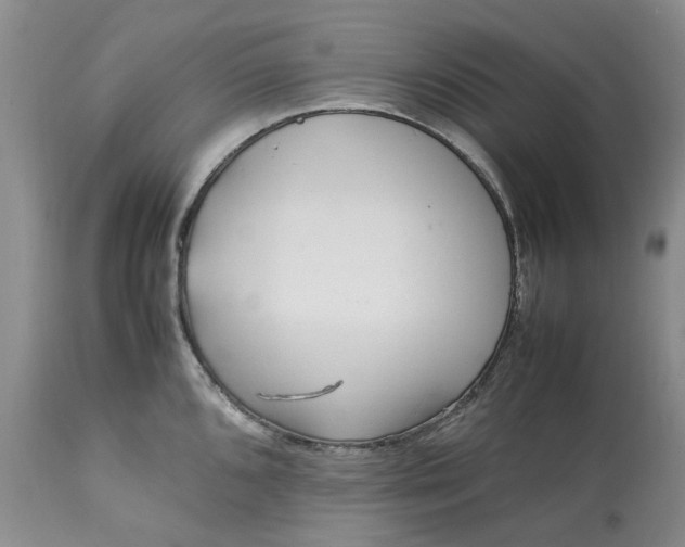 X0000113561096200910021549