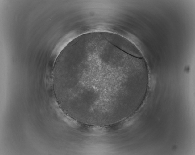 X0000113561097200910021549