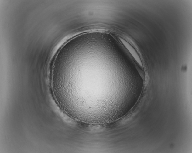 X0000113561099200910021549