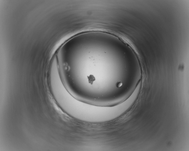 X0000113561101200910021549