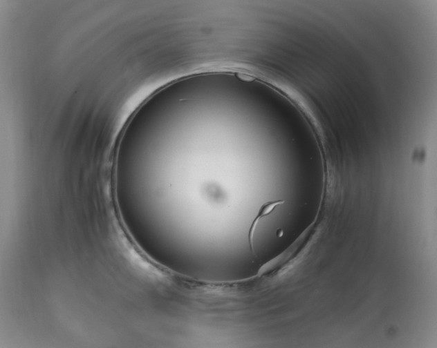 X0000113561102200910021549