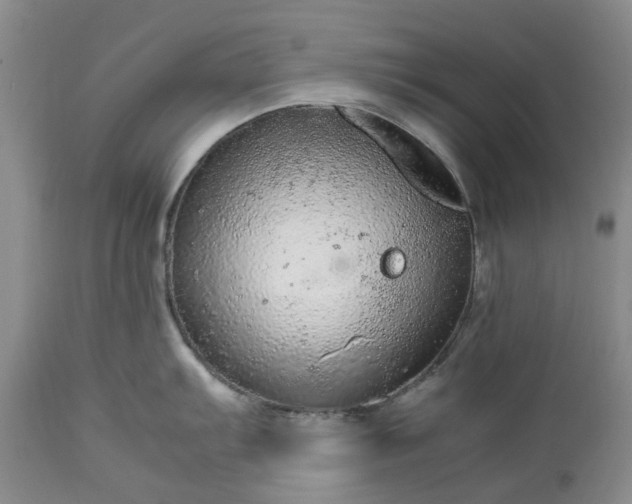 X0000113561103200910021549