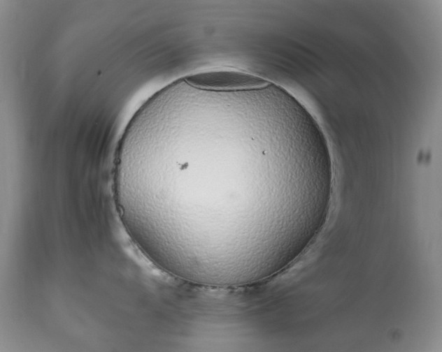 X0000113561104200910021549