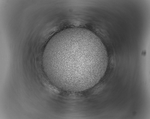 X0000113561105200910021548