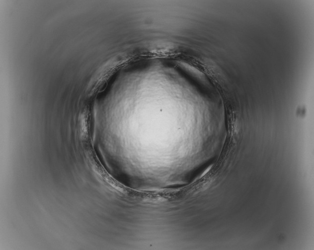 X0000113561106200910021548