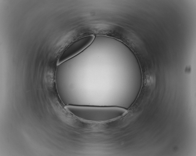 X0000113561108200910021548