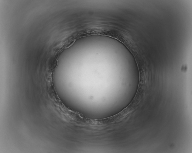 X0000113561109200910021548