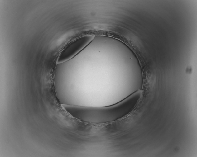 X0000113561110200910021548
