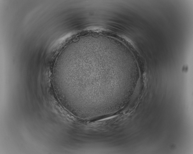X0000113561111200910021548