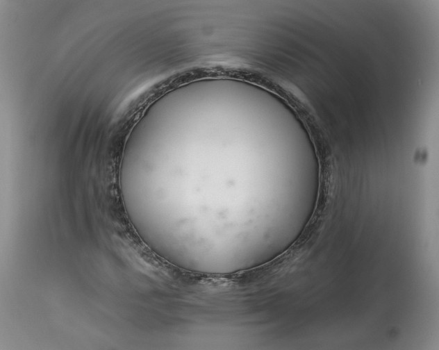 X0000113561112200910021548