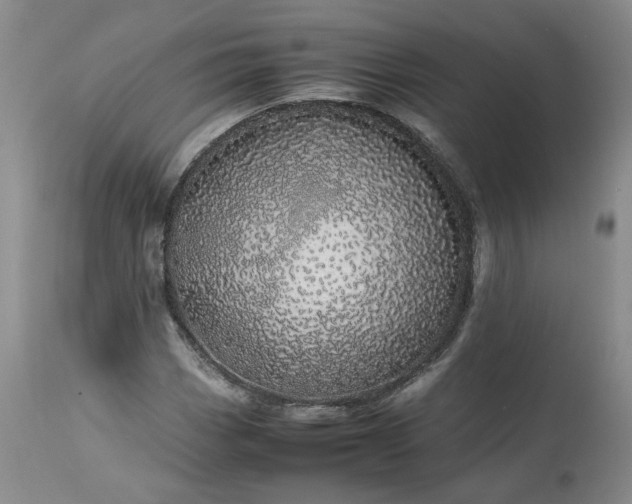 X0000113561113200910021548