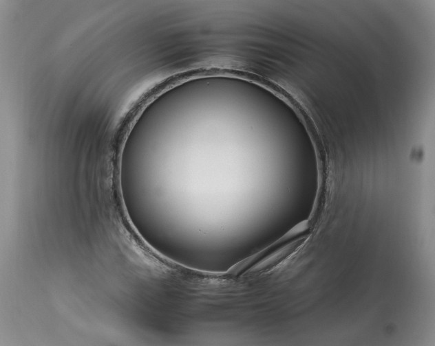 X0000113561115200910021548