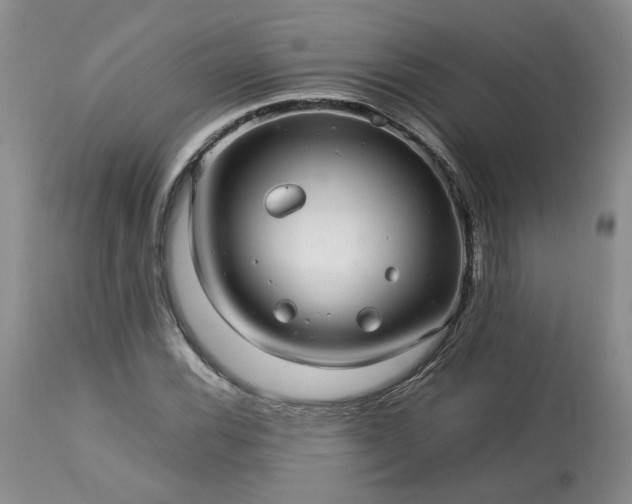 X0000113561116200910021548
