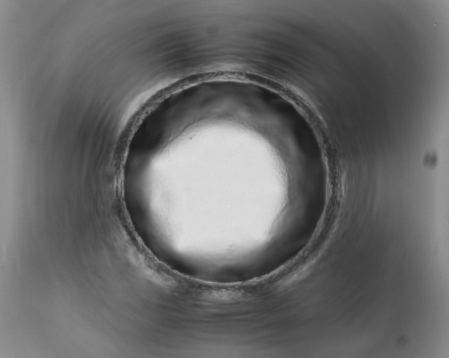 X0000113561117200910021548