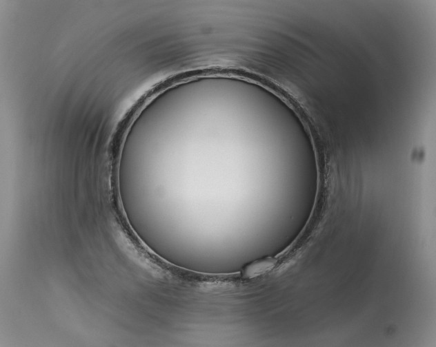 X0000113561118200910021548