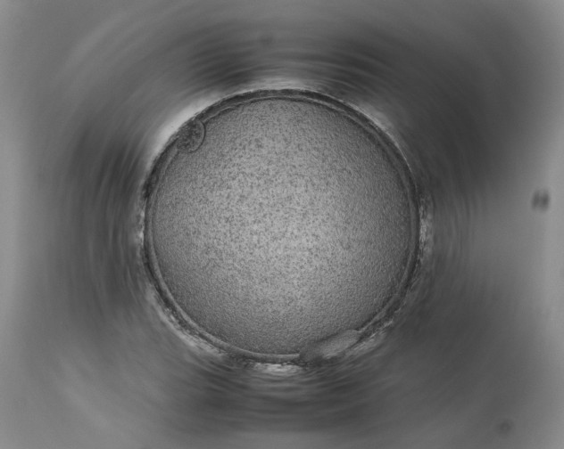 X0000113561119200910021548