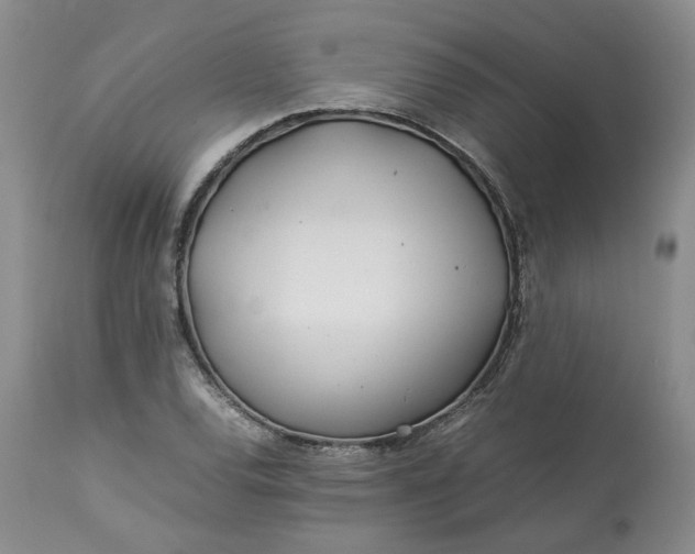 X0000113561120200910021548