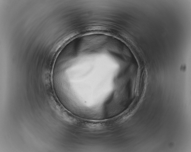 X0000113561121200910021548