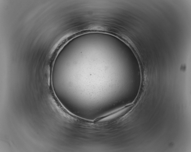 X0000113561123200910021548