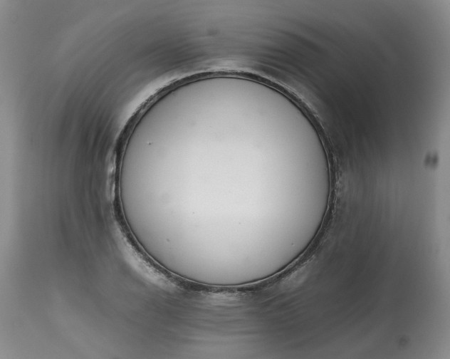 X0000113561126200910021548