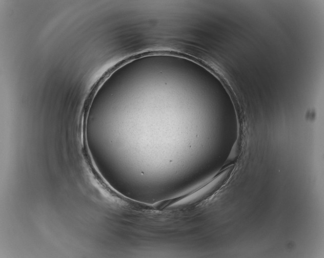 X0000113561127200910021548