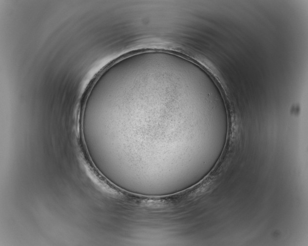 X0000113561128200910021548