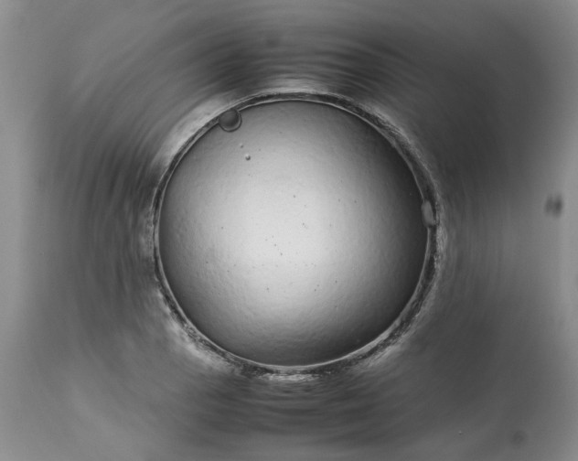 X0000113561129200910021548