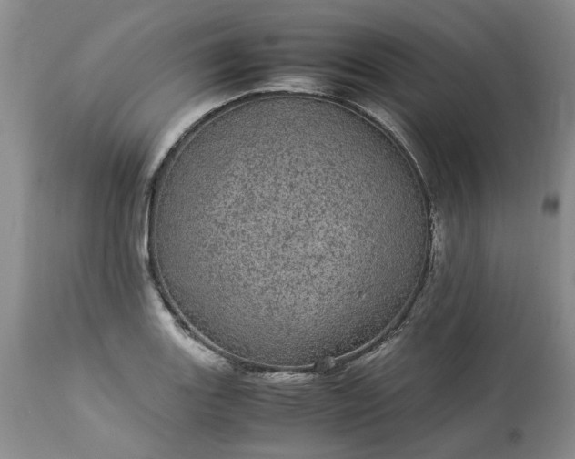 X0000113561131200910021549