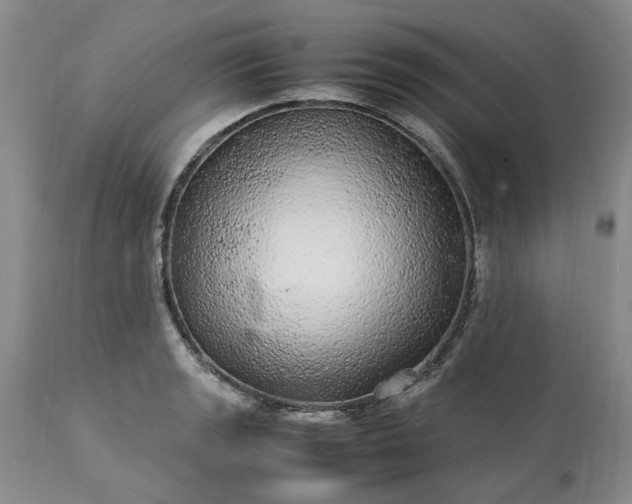 X0000113561133200910021549