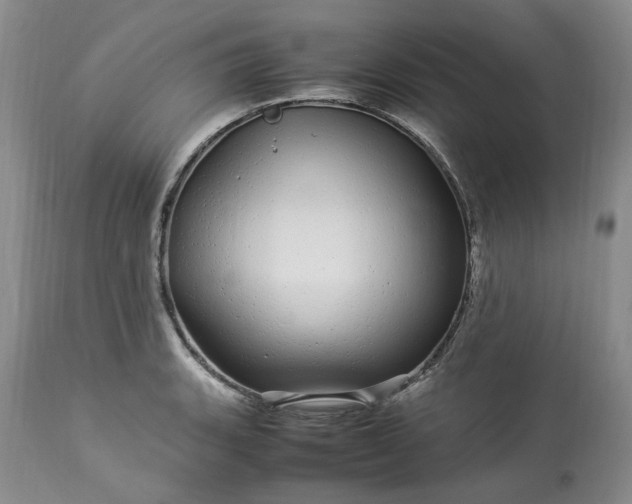 X0000113561135200910021549