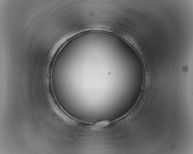 X0000113561136200910021549
