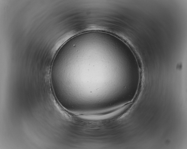 X0000113561137200910021549
