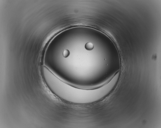 X0000113561138200910021549