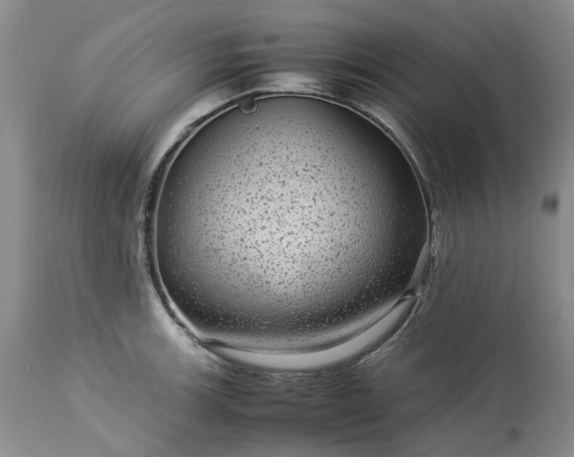 X0000113561139200910021549