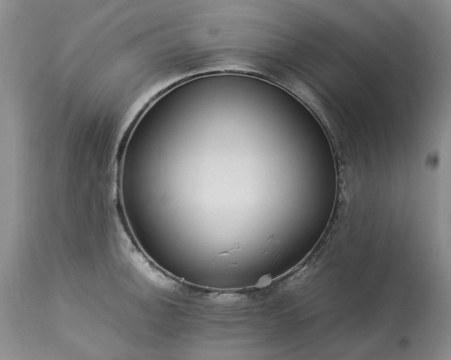 X0000113561140200910021549