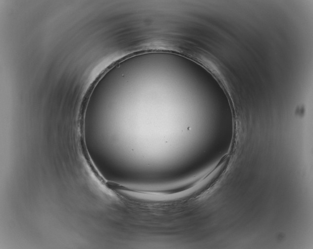 X0000113561141200910021549