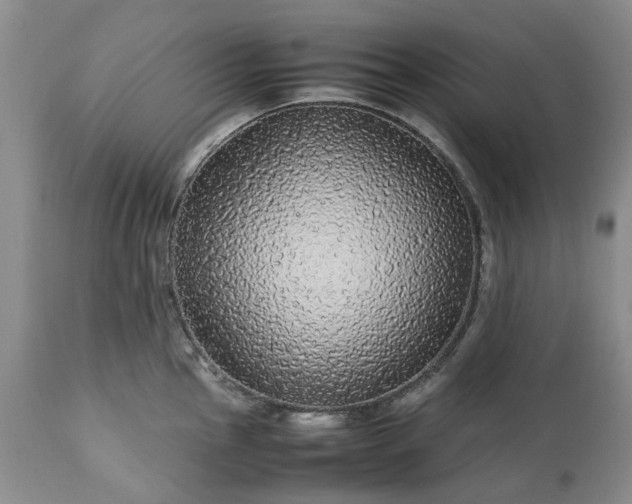 X0000113561145200910021549
