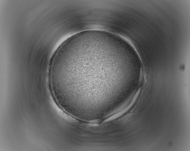 X0000113561147200910021549